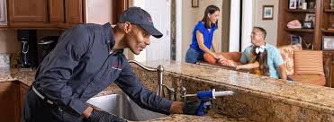 Professional Pest control in La Grange, TX